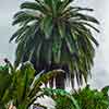 Chateau Marmont pool area, May 2006