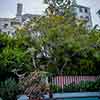 Chateau Marmont pool area photo, June 2012