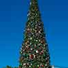 Disneyland Christmas Tree in Town Square, December 2015