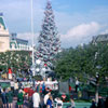 Disneyland at Christmas January 1966