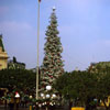 Disneyland Christmas photo, January 1969