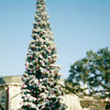 Disneyland Christmas photo, December 1979