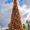 Disney California Adventure Christmas 2010 photo