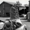 Disneyland Construction, Carousel Horse, June 1955