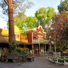 Disneyland Critter Country March 2012