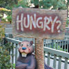 Splash Mountain, May 2007