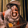 Disneyland Country Bear Jamboree Big Al photo