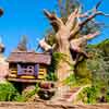 Splash Mountain, August 2007