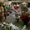 Flower Mart, September 1964