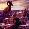 Diorama BIghorn Sheep, from a Disneyland Panavue Slide