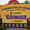 CHOC Walk in the Park photo, October 2011