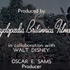 Encyclopaedia Britannic Disneyland Adventureland photo