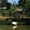 Disneyland Franklyn Taylor Frontierland photo, 1956