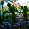 Disneyland Hotel photo, September 2012