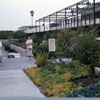 Disneyland Hotel photo, 1958