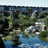 Disneyland Hotel, November 1959