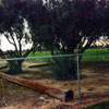 Disneyland Hotel Golf Centre Course photo