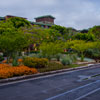 Disneyland tram and parking lot photo, June 2013