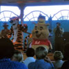 WDW, January 1972