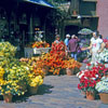 Disney World, April 1975