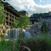 Wilderness Lodge Resort June 2002