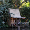 WDW Adventureland Jungle Cruise January 2010