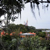 WDW Adventureland Swiss Family Robinson Treehouse January 2010