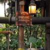 WDW Adventureland Swiss Family Robinson Treehouse January 2010