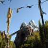 WDW Animal Kingdom Expedition Everest January 2010