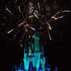 Cinderella Castle at Walt Disney World January 2010