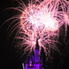 Cinderella Castle at Walt Disney World January 2010