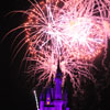 Cinderella Castle at Walt Disney World January 2010