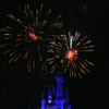 Cinderella Castle at Walt Disney World January 2010