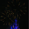 Cinderella Castle at Walt Disney World January 2010