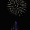 Cinderella Castle at Walt Disney World January 2010