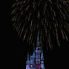 Cinderella Castle at Walt Disney World January 2010