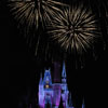 Cinderella Castle at Walt Disney World January 2010