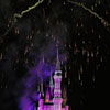 Cinderella Castle at Walt Disney World January 2010