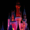 Cinderella Castle at Walt Disney World January 2010