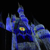 Cinderella Castle at Walt Disney World January 2010