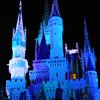 Cinderella Castle at Walt Disney World January 2010