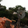 WDW Big Thunder Mountain Railroad January 2010