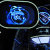 Disney's Hollywood Studios American Idol Experience January 2010
