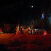 WDW Disney's Hollywood Studios Fantasmic January 2010