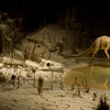 Disneyland Railroad Primeval World Diorama, June 2008