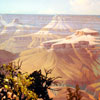 Grand Canyon Diorama, July 2008