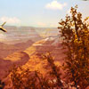 Grand Canyon Diorama, October 2010