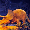 Disneyland Primeval World Diorama October 2011