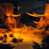 Disneyland Primeval World Diorama September 2010