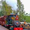 Fred Gurley at Disneyland Main Street Train Station, March 2008